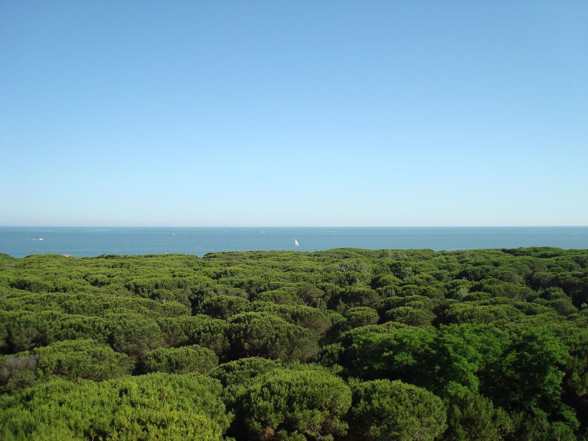Hotel San Giorgio Milano Marittima Exteriör bild